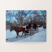 Central Park Legpuzzel (Horizontaal)