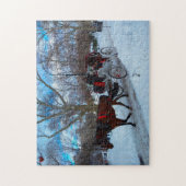 Central Park Legpuzzel (Verticaal)