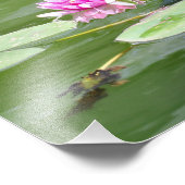 Central Park "Lily Pads" Foto Afdruk (Hoek)