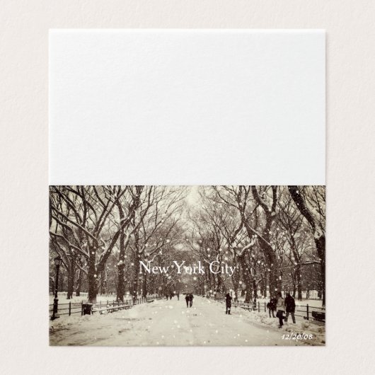 Central Park Magnetic Card Kaart (Buitenkant ongevouwen)