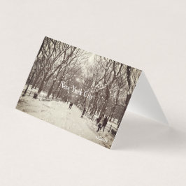 Central Park Magnetische Kaart