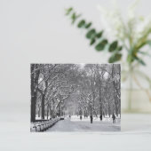 Central Park Mall B&W Briefkaart (Staand voorkant)