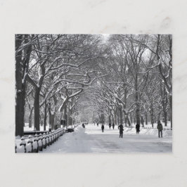 Central Park Mall B&W Briefkaart