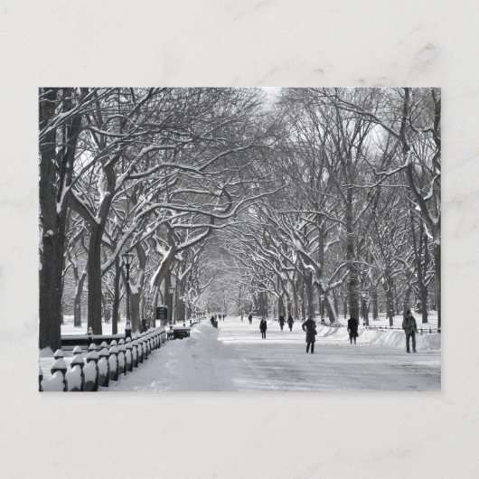 Central Park Mall B&W Briefkaart (Voorkant)