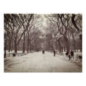 Central Park Mall Foto Afdruk (Voorkant)