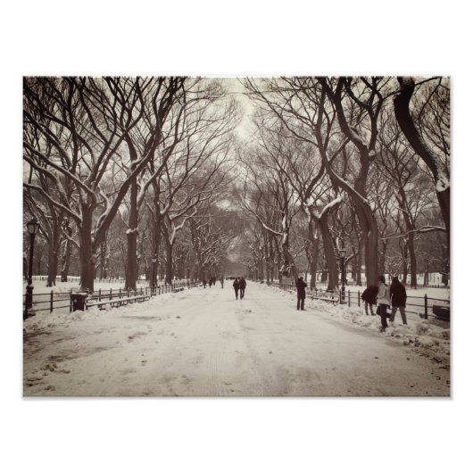 Central Park Mall Foto Afdruk (Voorkant)