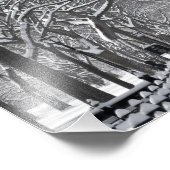 Central Park Mall Winter Scene Foto Afdruk (Hoek)