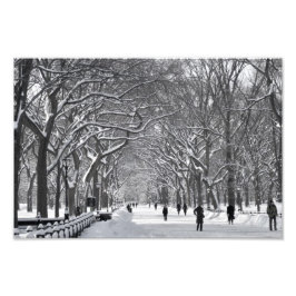 Central Park Mall Winter Scene Foto Afdruk