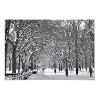 Central Park Mall Winter Scene Foto Afdruk