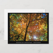 Central Park Manhattan Briefkaart (Voorkant / Achterkant)