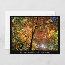 Central Park Manhattan Briefkaart