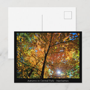 Central Park Manhattan Briefkaart