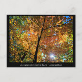 Central Park Manhattan Briefkaart (Voorkant)