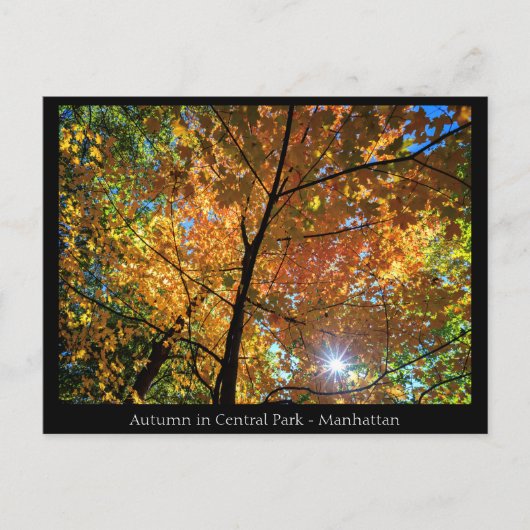Central Park Manhattan Briefkaart (Voorkant)