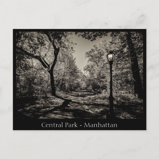 Central Park Manhattan in Black en White Briefkaart (Voorkant)
