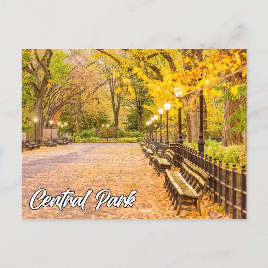 Central Park, Manhattan, New York, Verenigde State Briefkaart (Voorkant)