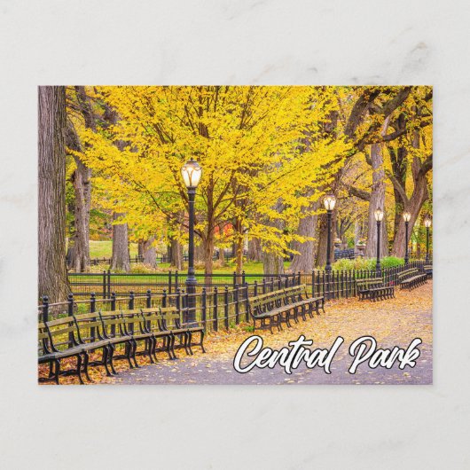 Central Park, Manhattan, New York, Verenigde State Briefkaart (Voorkant)