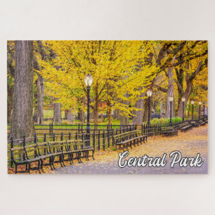 Central Park, Manhattan, New York, Verenigde State Legpuzzel