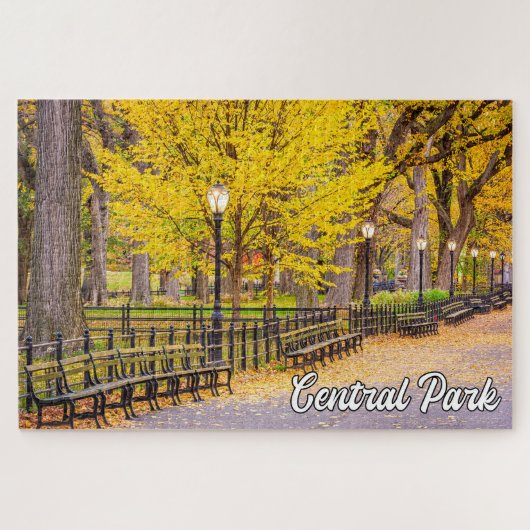 Central Park, Manhattan, New York, Verenigde State Legpuzzel (Horizontaal)