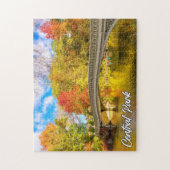 Central Park, Manhattan, New York, Verenigde State Legpuzzel (Verticaal)