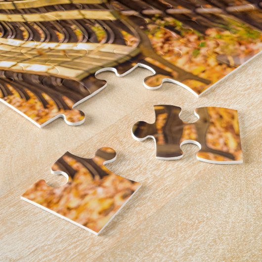 Central Park, Manhattan, New York, Verenigde State Legpuzzel (Zijkant)