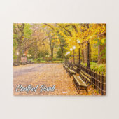 Central Park, Manhattan, New York, Verenigde State Legpuzzel (Horizontaal)