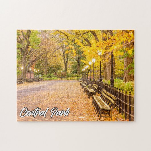 Central Park, Manhattan, New York, Verenigde State Legpuzzel (Horizontaal)