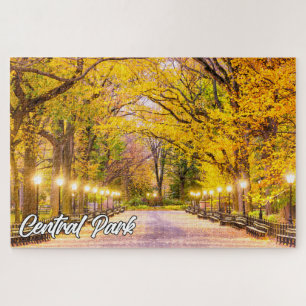 Central Park, Manhattan, New York, Verenigde State Legpuzzel