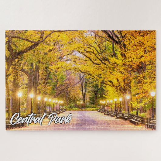 Central Park, Manhattan, New York, Verenigde State Legpuzzel (Horizontaal)