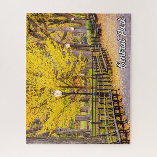 Central Park, Manhattan, New York, Verenigde State Legpuzzel (Verticaal)