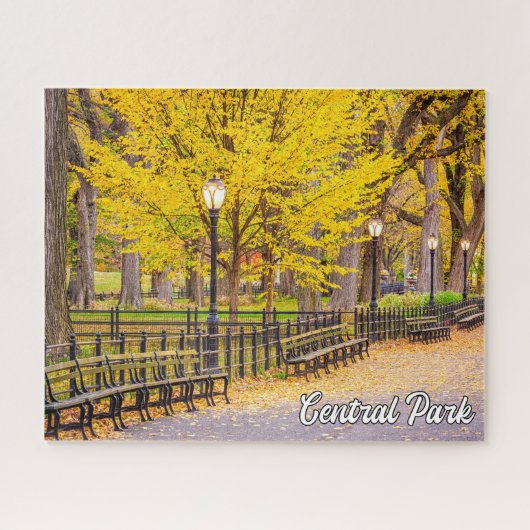 Central Park, Manhattan, New York, Verenigde State Legpuzzel (Horizontaal)