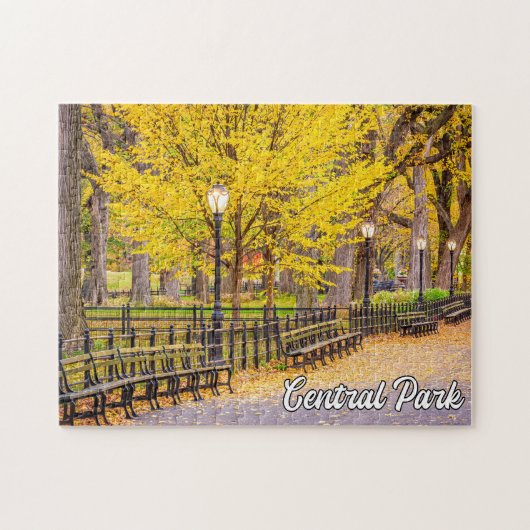 Central Park, Manhattan, New York, Verenigde State Legpuzzel (Horizontaal)