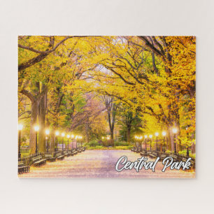 Central Park, Manhattan, New York, Verenigde State Legpuzzel