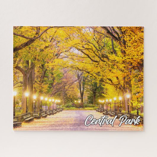Central Park, Manhattan, New York, Verenigde State Legpuzzel (Horizontaal)