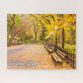 Central Park, Manhattan, New York, Verenigde State Legpuzzel (Horizontaal)