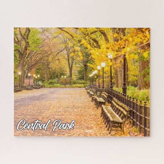 Central Park, Manhattan, New York, Verenigde State Legpuzzel (Horizontaal)