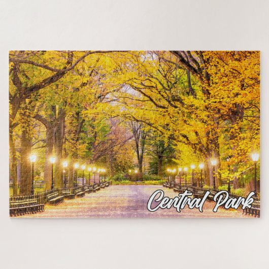 Central Park, Manhattan, New York, Verenigde State Legpuzzel (Horizontaal)