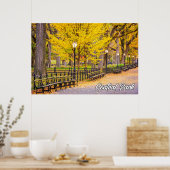 Central Park, Manhattan, New York, Verenigde State Poster (Keuken)