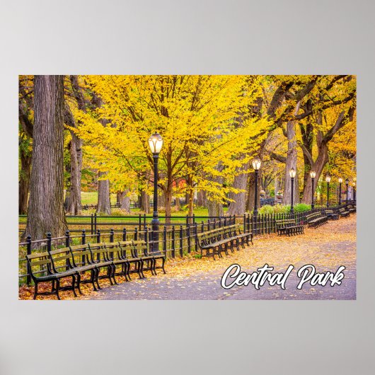 Central Park, Manhattan, New York, Verenigde State Poster (Voorkant)
