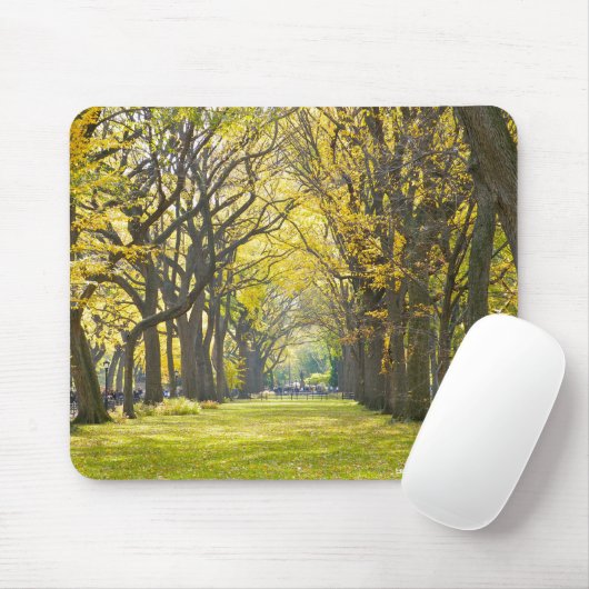 Central Park Mousepad Muismat (Met muis)