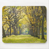 Central Park Mousepad Muismat (Voorkant)