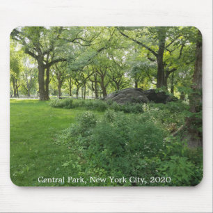 Central Park Natuur New York City Bomen Muismat