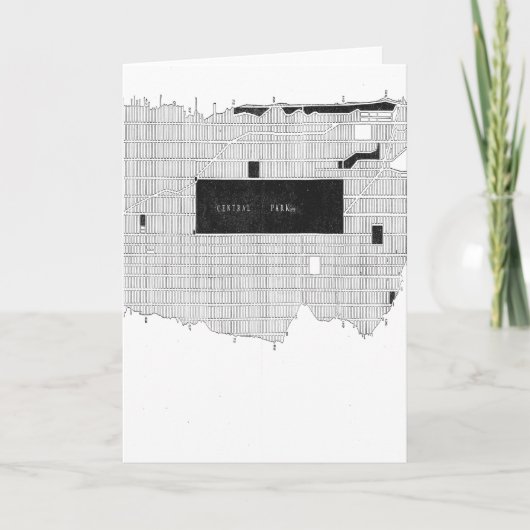 Central Park New York 1880 Kaart, Blanco Binnenkan Kaart (Voorkant)