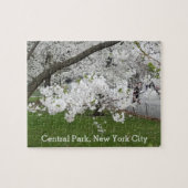 Central Park New York Blossoming Tree in Spring Legpuzzel (Horizontaal)