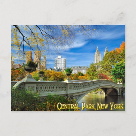Central Park New York Briefkaart (Voorkant)