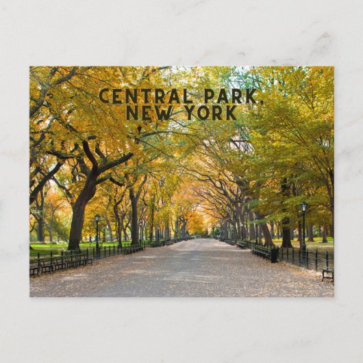 Central Park, New York Briefkaart Souvenir (Voorkant)