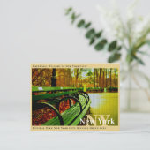Central Park New York City Benches Green Herfst Briefkaart (Staand voorkant)