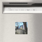 Central Park, New York City Magneet (Insitu (Vaatwasser))