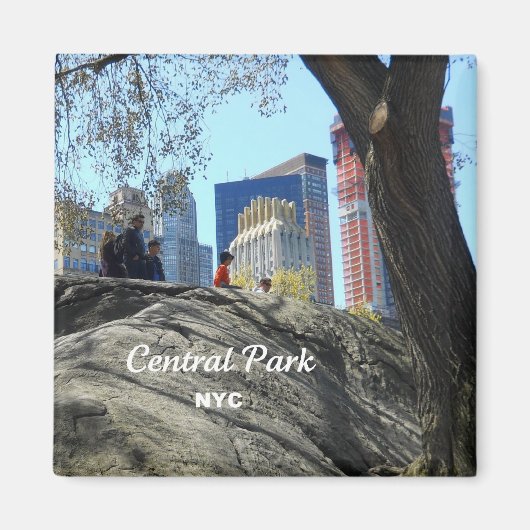 Central Park, New York City Magneet (Voorkant)