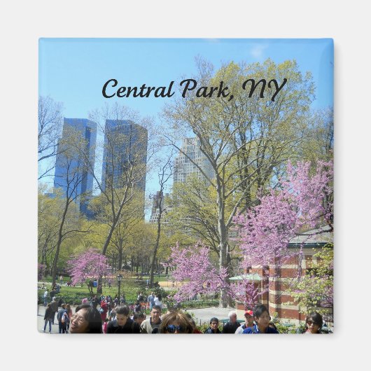 Central Park, New York City Magneet (Voorkant)